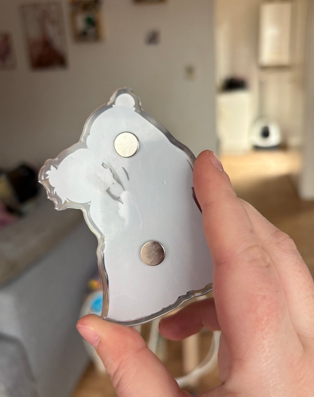 Magnet Jinshi/Maomao