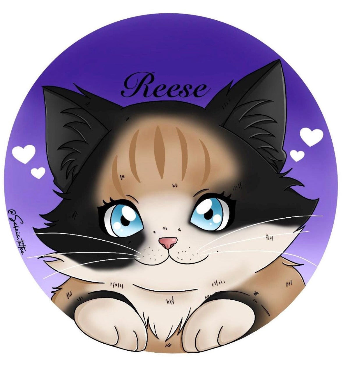 Portrait mignon animaux